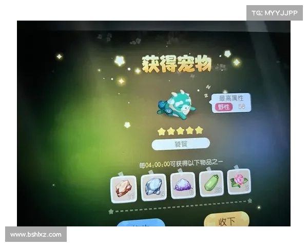 如何在奥比岛进行物品买卖并获得最大收益的实用技巧 如何在奥比岛进行物品买卖并获得最大收益的实用技巧